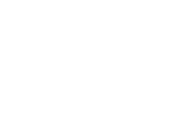 MVX